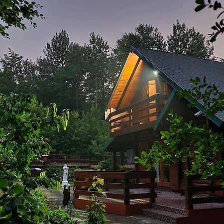 Villa Vikendica Crkvina à Kolašin Extérieur photo