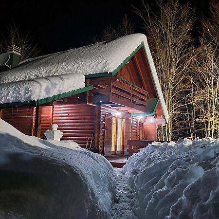 Villa Vikendica Crkvina à Kolašin Extérieur photo