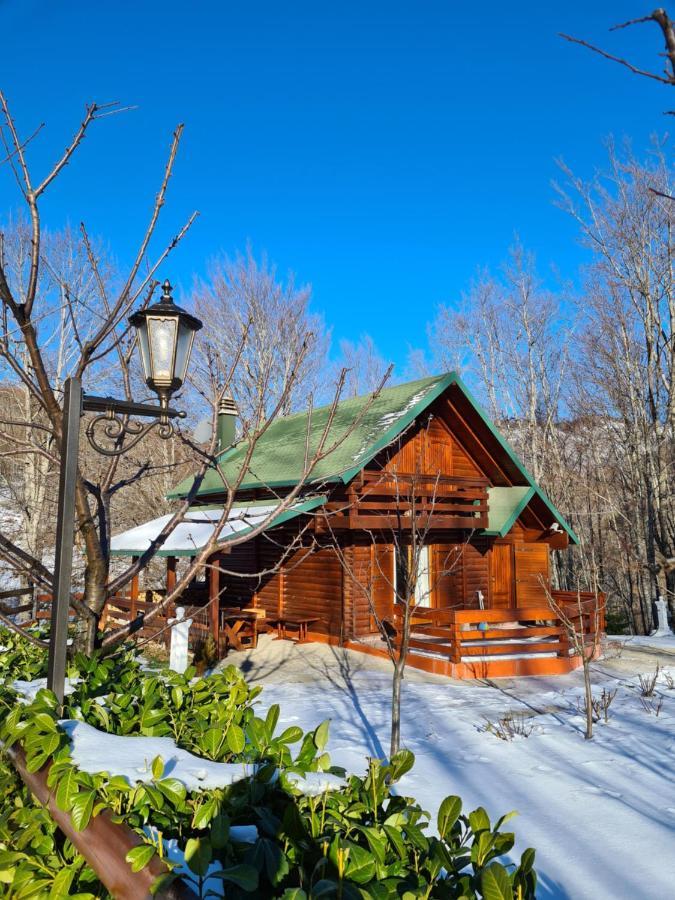 Villa Vikendica Crkvina à Kolašin Extérieur photo