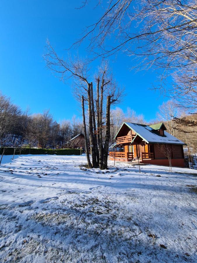 Villa Vikendica Crkvina à Kolašin Extérieur photo