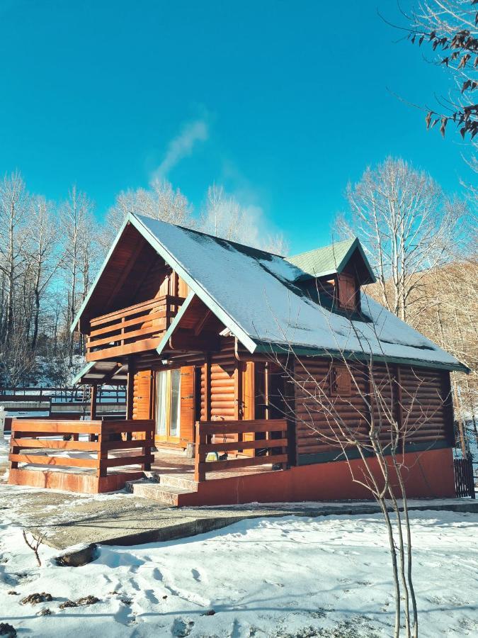 Villa Vikendica Crkvina à Kolašin Extérieur photo