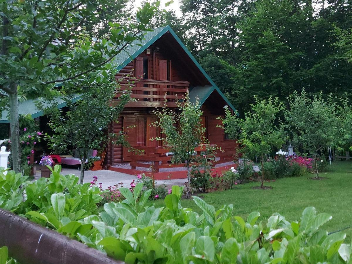 Villa Vikendica Crkvina à Kolašin Extérieur photo
