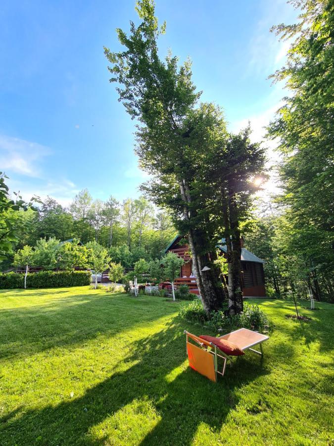 Villa Vikendica Crkvina à Kolašin Extérieur photo