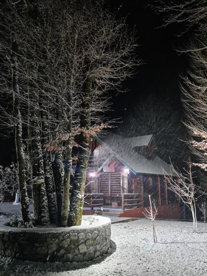 Villa Vikendica Crkvina à Kolašin Extérieur photo