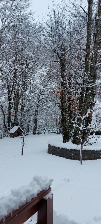 Villa Vikendica Crkvina à Kolašin Extérieur photo