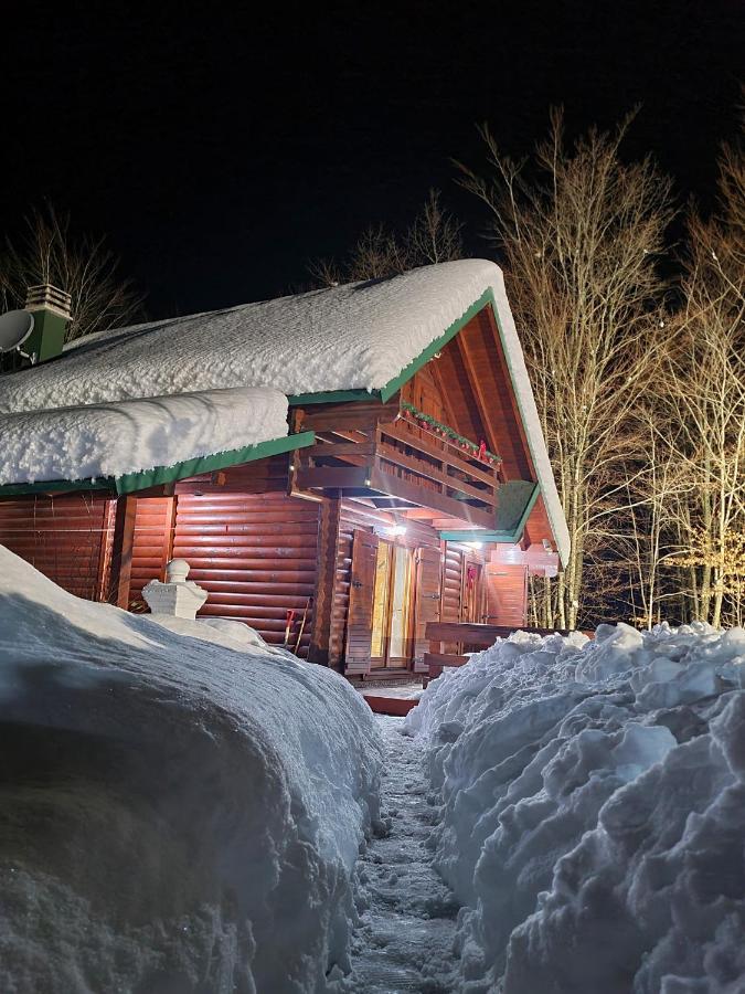 Villa Vikendica Crkvina à Kolašin Extérieur photo