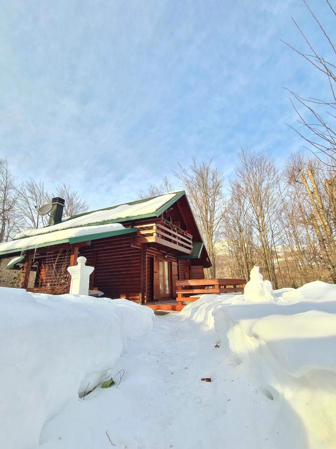 Villa Vikendica Crkvina à Kolašin Extérieur photo