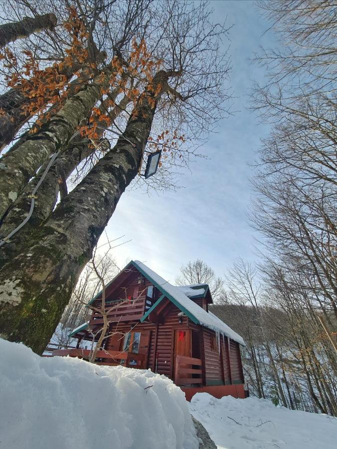Villa Vikendica Crkvina à Kolašin Extérieur photo