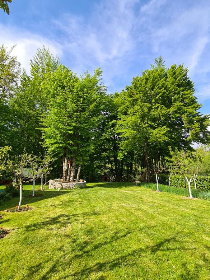 Villa Vikendica Crkvina à Kolašin Extérieur photo