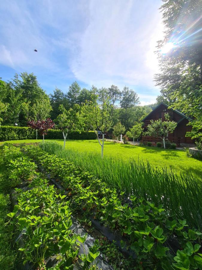 Villa Vikendica Crkvina à Kolašin Extérieur photo