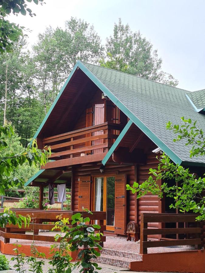 Villa Vikendica Crkvina à Kolašin Extérieur photo