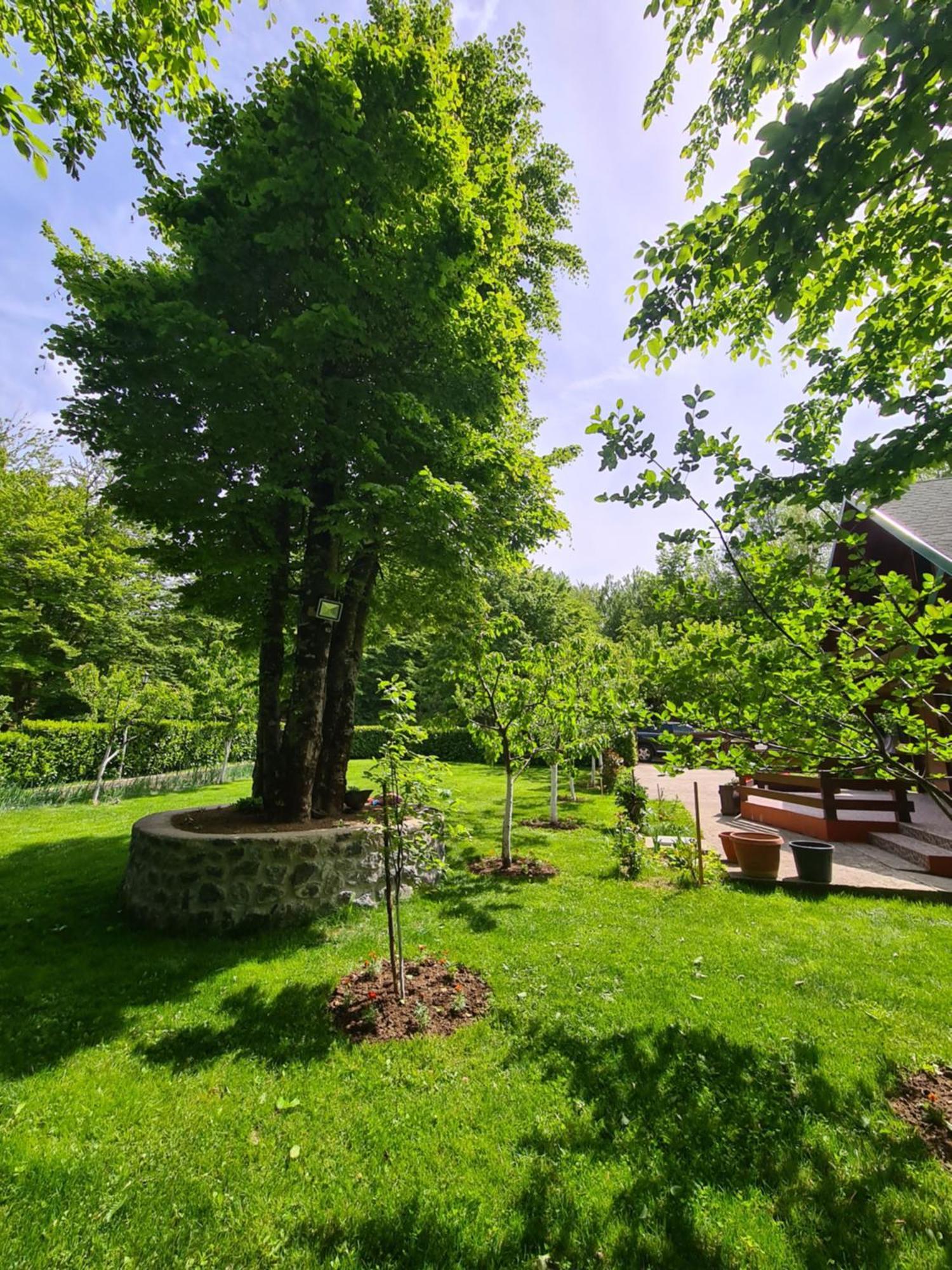 Villa Vikendica Crkvina à Kolašin Extérieur photo