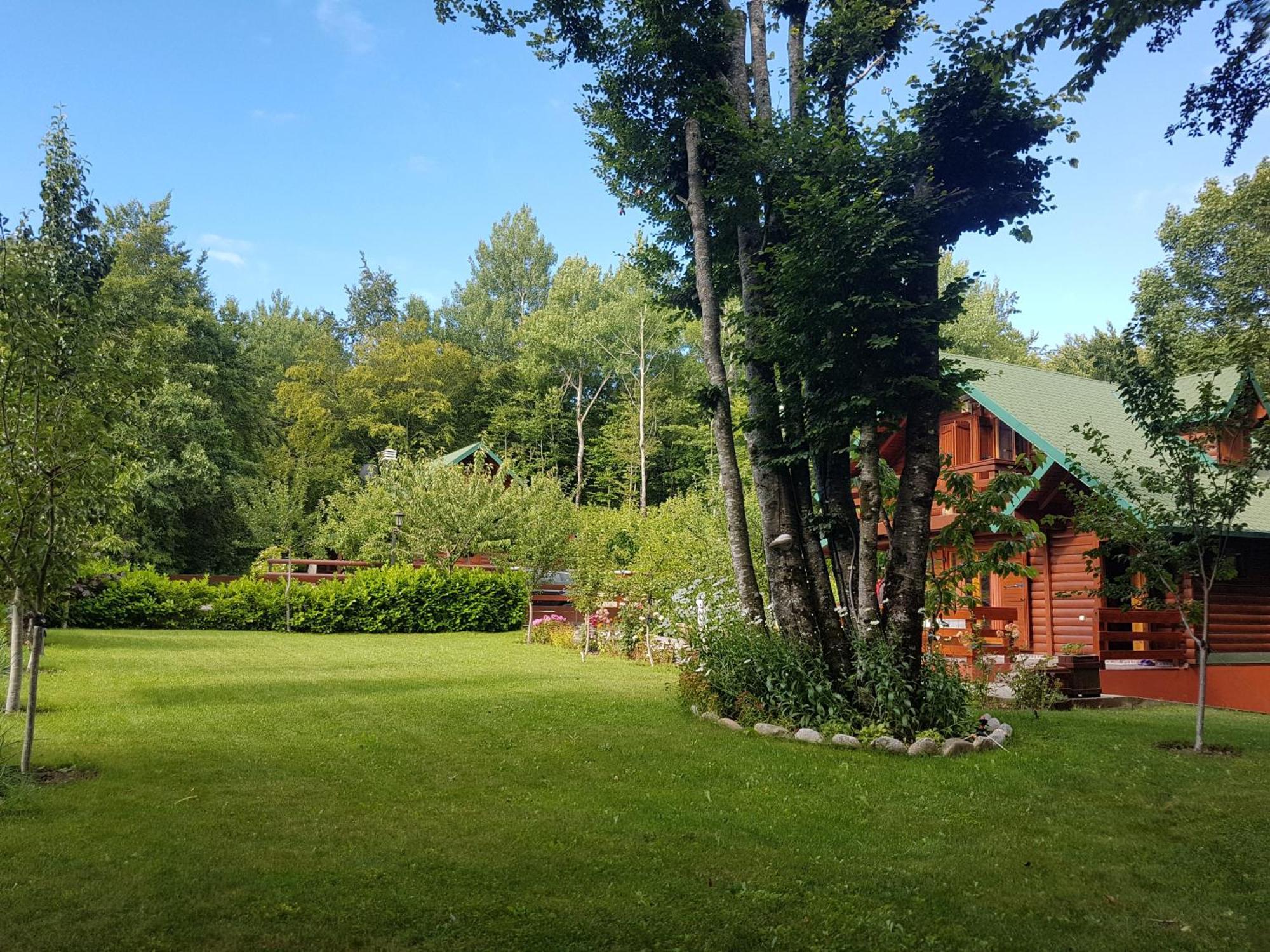 Villa Vikendica Crkvina à Kolašin Extérieur photo